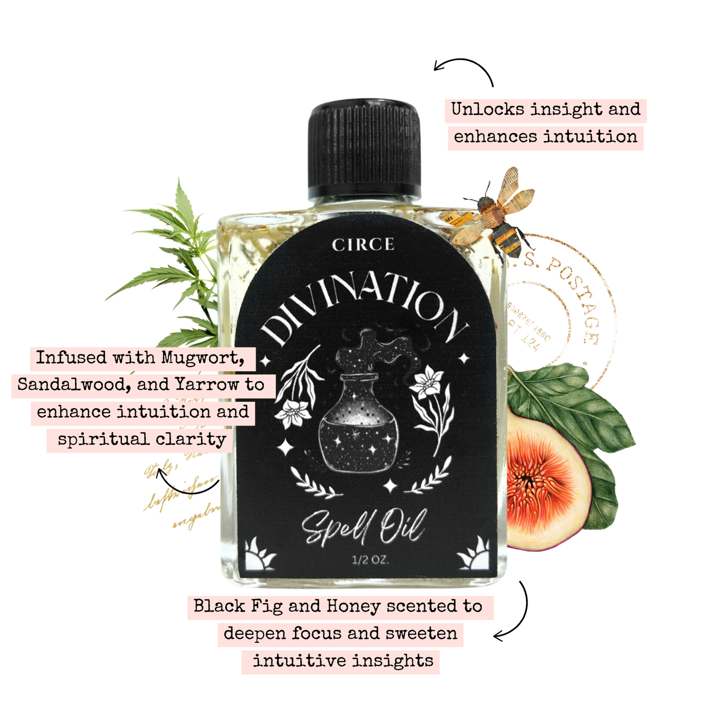 Divination | Spell Oil 1/2 oz from Circe Boutique