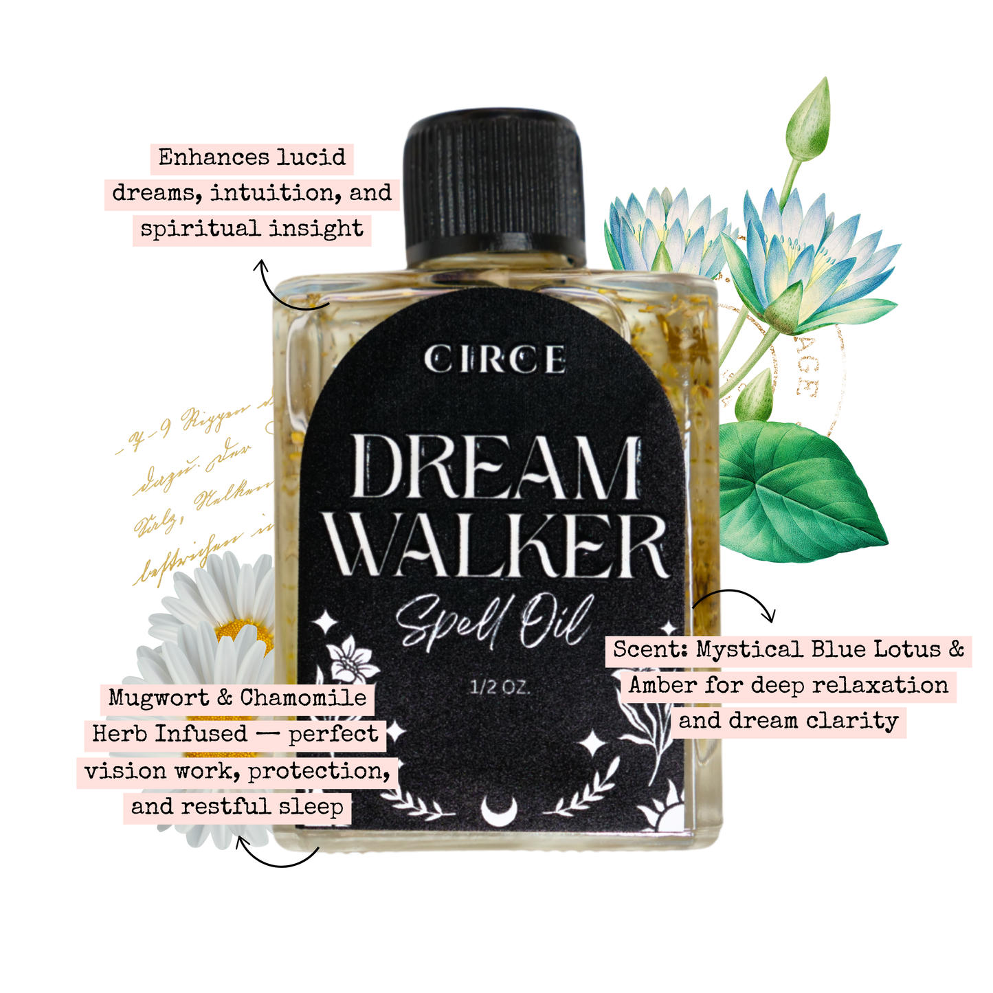 CIRCE Dream Walker Spell Oil 1/2 oz. from Circe Boutique
