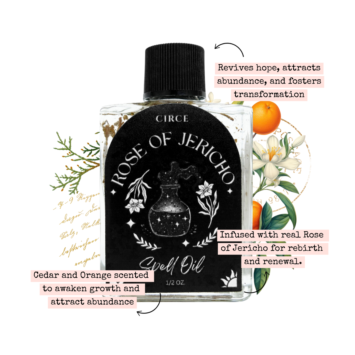 Rose of Jericho | Spell Oil 1/2 oz from Circe Boutique
