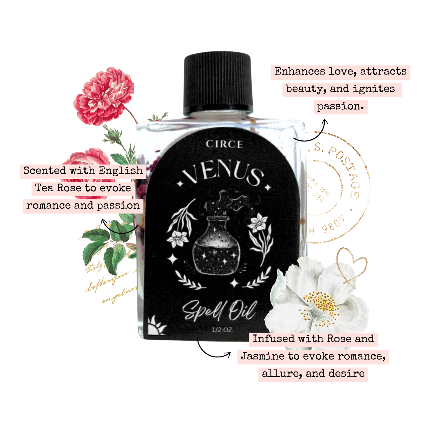 Venus | Spell Oil 1/2 oz from Circe Boutique