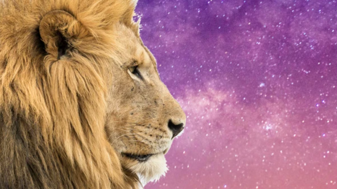 leo season and its crystals guide