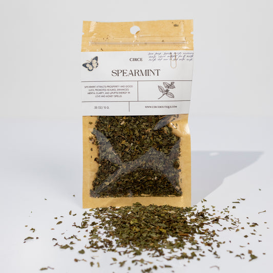 Spearmint – Clarity & Prosperity Herb for Rituals