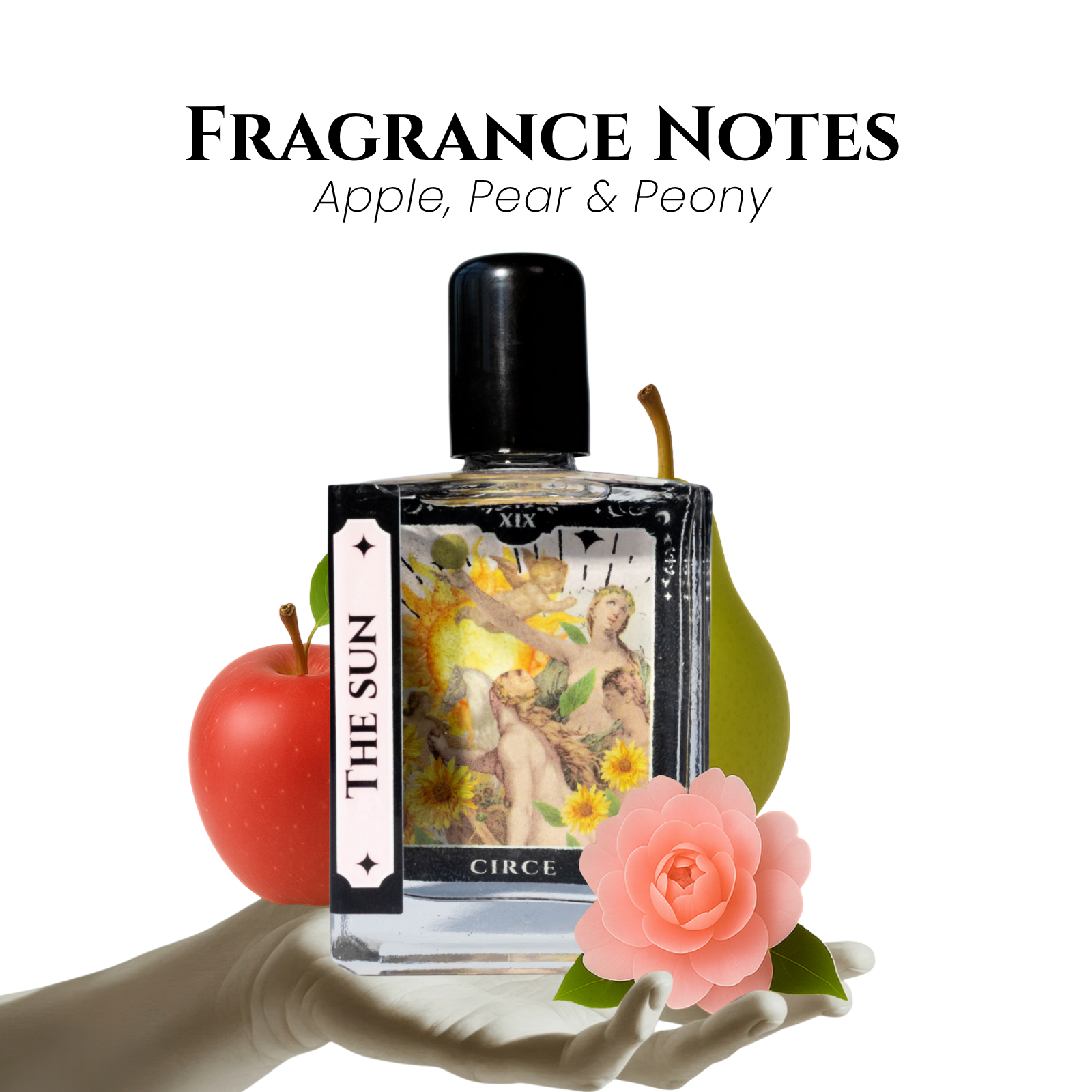 The Sun - Tarot Inspired Bundle | Apple, Daisy & Pink Peony  from Circe Boutique