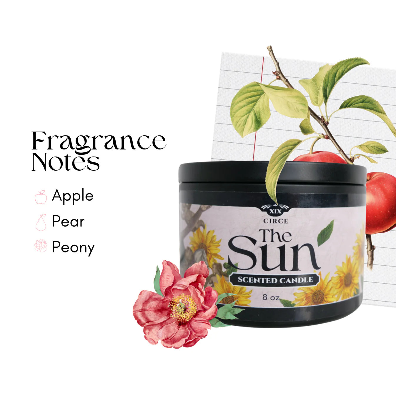 The Sun - Tarot Inspired Bundle | Apple, Daisy & Pink Peony  from Circe Boutique