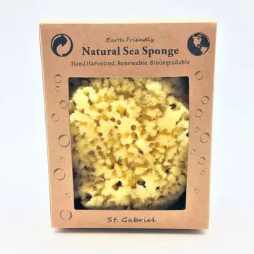 Earth Friendly Sea Sponge