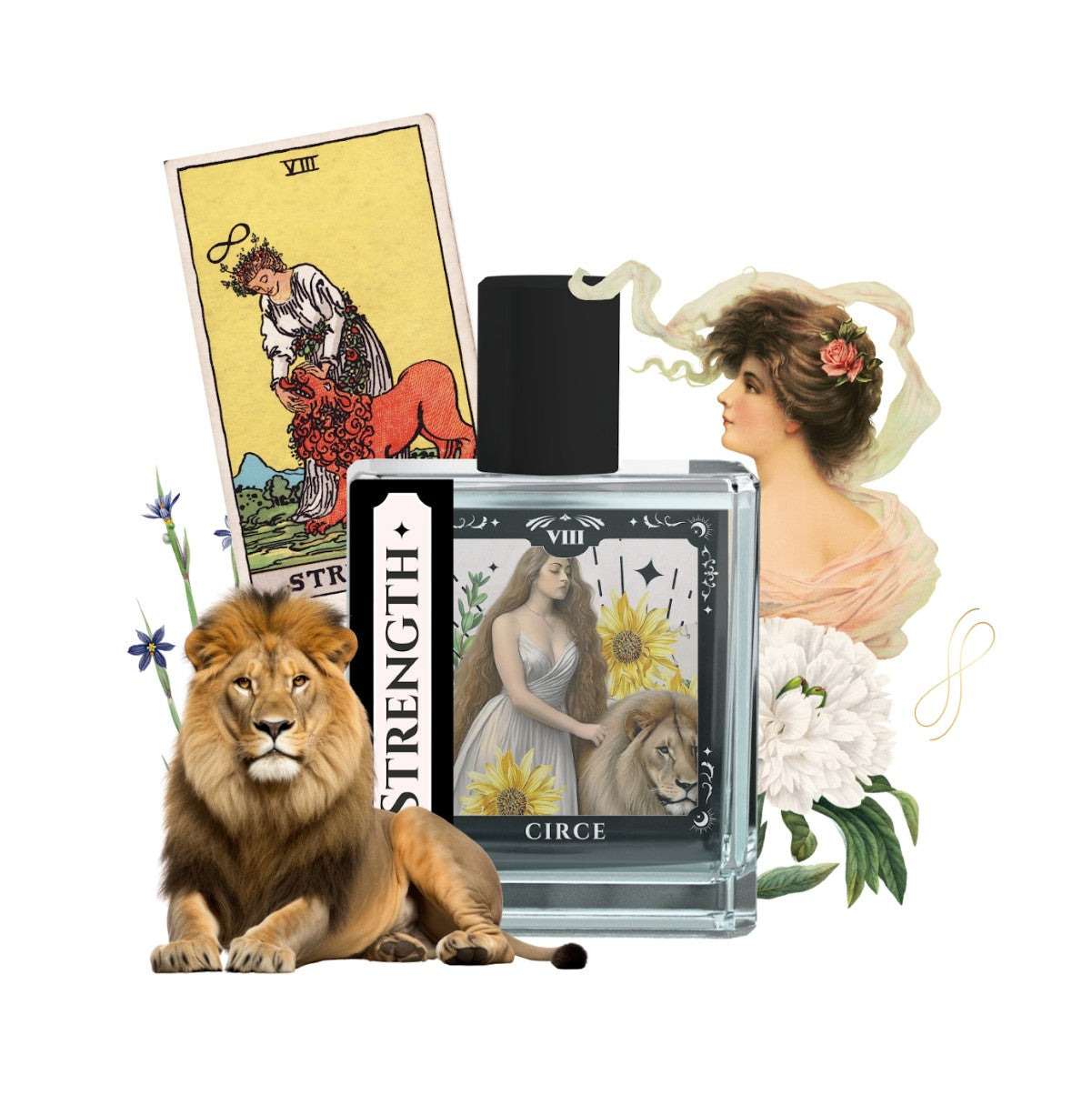 The Strength Tarot Perfume Oil – 1.7 oz Roller | Bergamot, Amber & Vanilla  from Circe Boutique