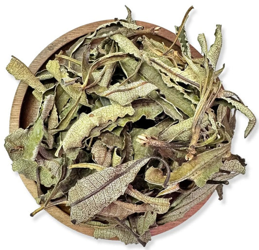 Yerba Santa – Healing & Spiritual Strength Herb for Rituals